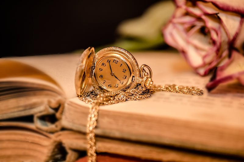 Time Travel Expedition
